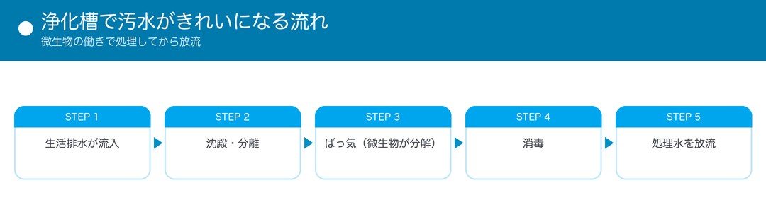 浄化槽で汚水がきれいになる流れ（流入・沈殿分離・ばっ気・消毒・放流）